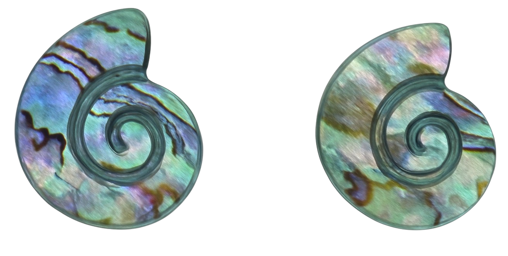 Nauticle Shell Embossed