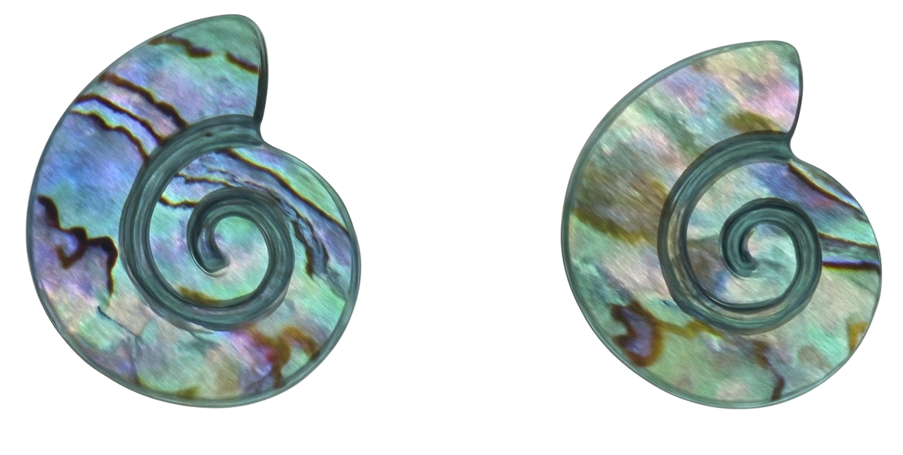 Nauticle Shell Embossed